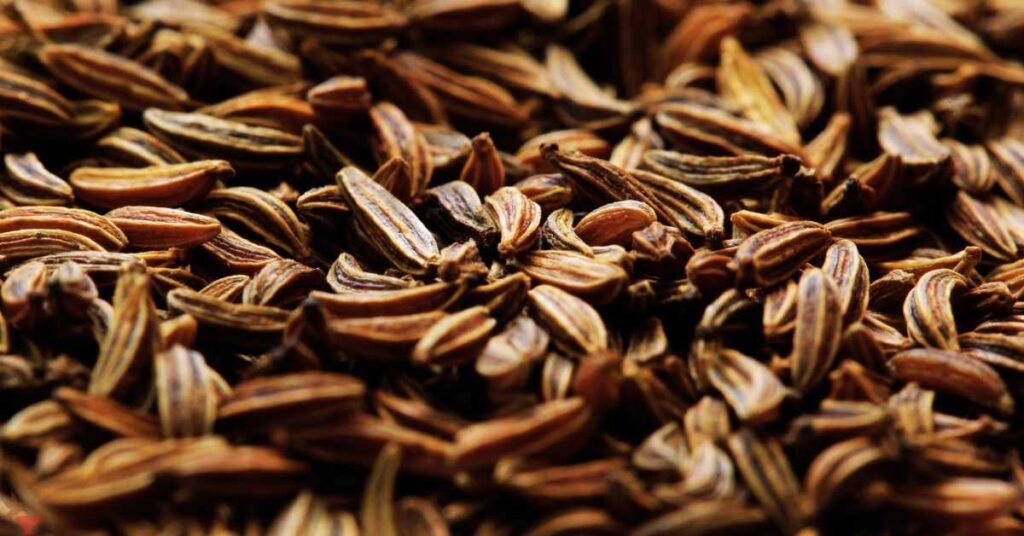 Precautions and Side Effects of Caraway Seed Tea