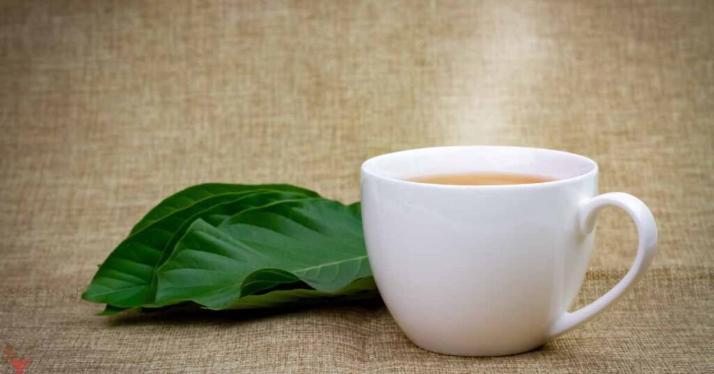Safety Concerns of Kratom Tea