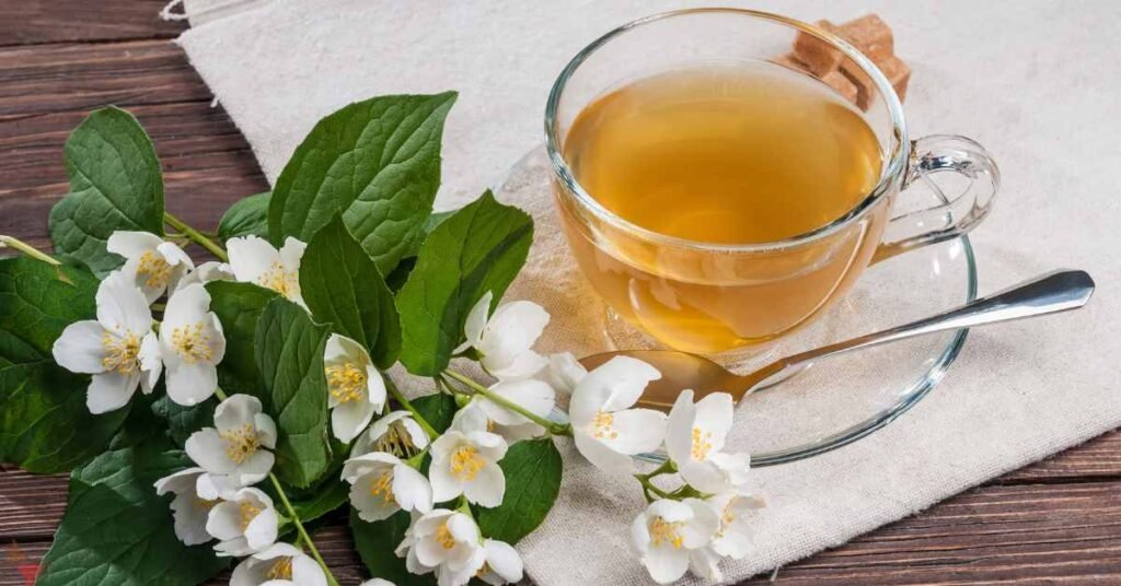 Aroma of Jasmine Tea