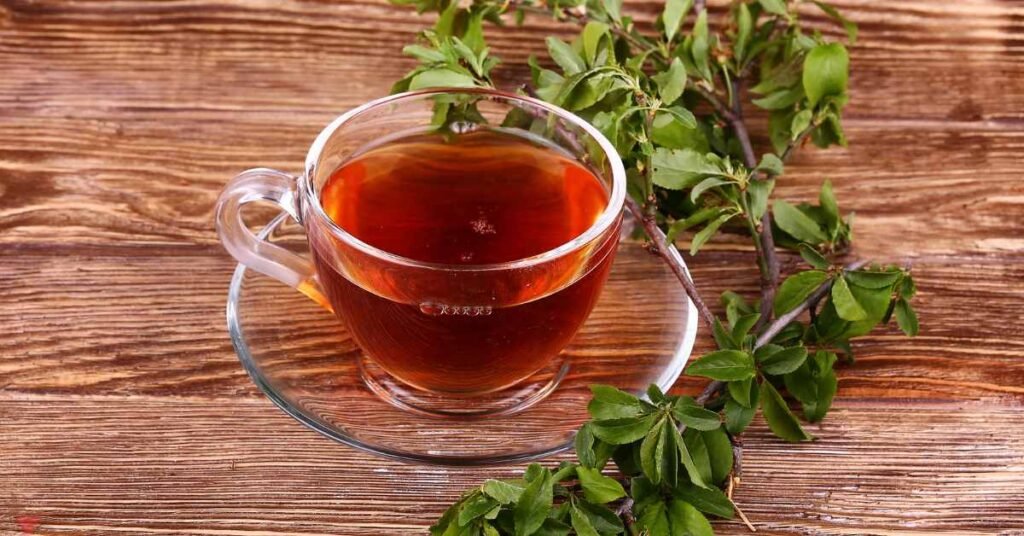 Culinary and Medicinal Uses of Spearmint and Peppermint Tea