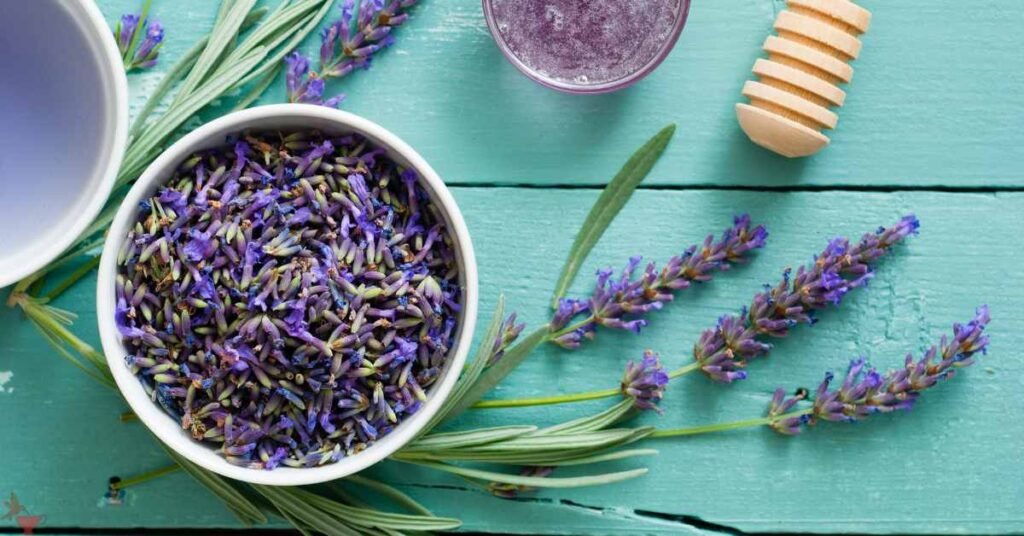 Lavender Tea for Restless Leg Syndrome