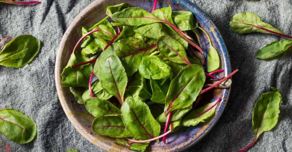 Nutritional Benefits of Beet Leaves