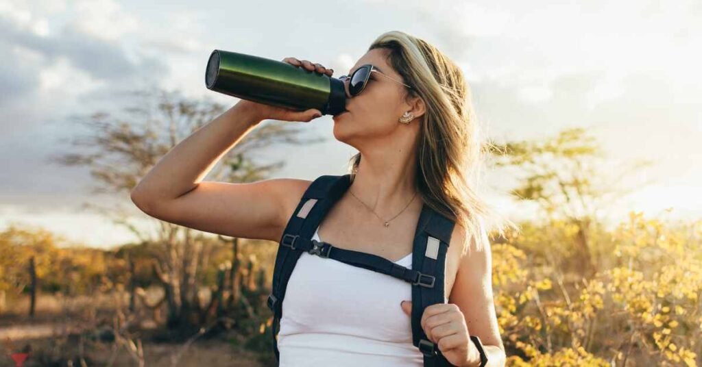 Portable Tea Infusers