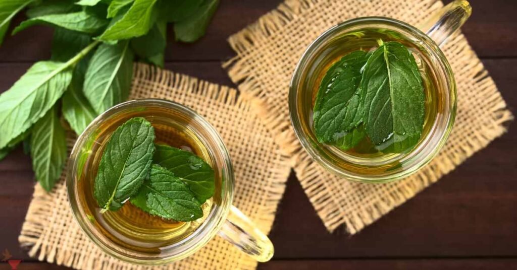 Mint Tea to Drink Everyday