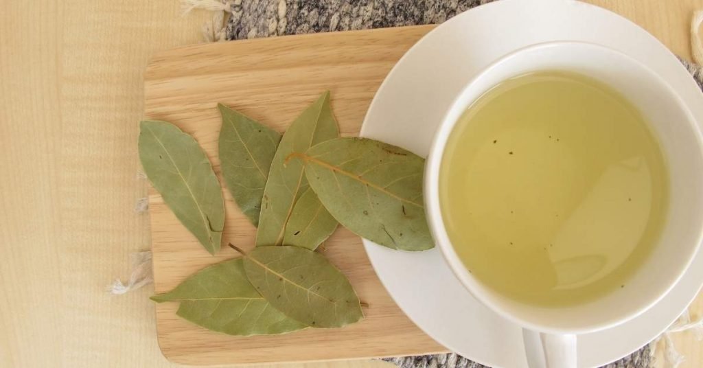 Can You Drink Bay Leaf Tea Every Day