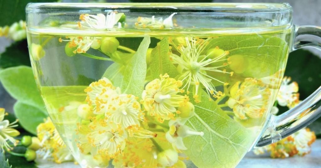 How Do I Add Linden Flowers to My Tea
