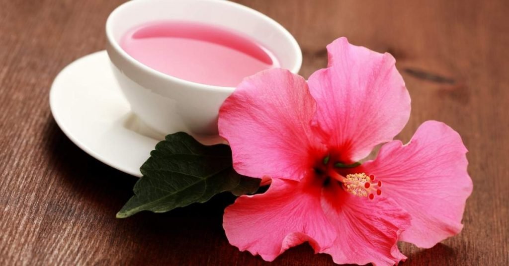 How Much Hibiscus Tea Can You Drink