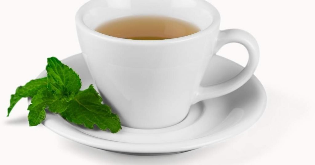 How to Prepare Mexican Mint Tea