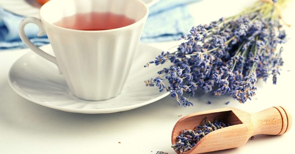 How to Prepare Pure Lavender Tea