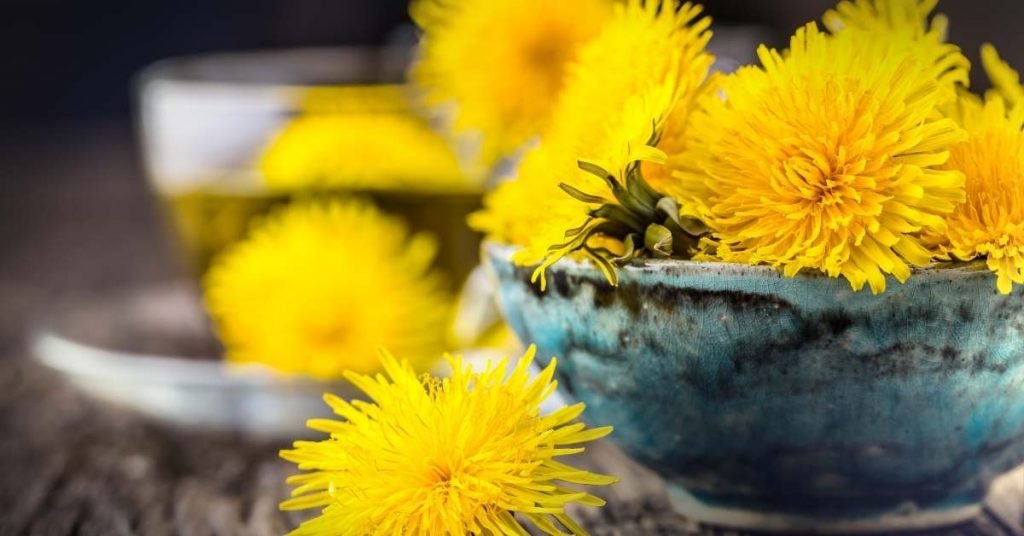 Is It OK to Drink Dandelion Tea Every Day