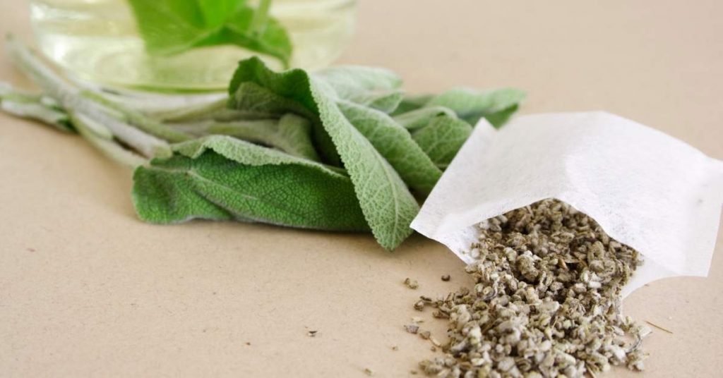 When Should I Drink Sage Tea