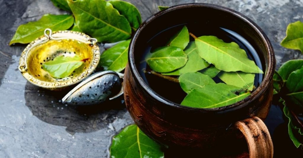 Bay Leaf - Infusions to Eliminate Intestinal Gases