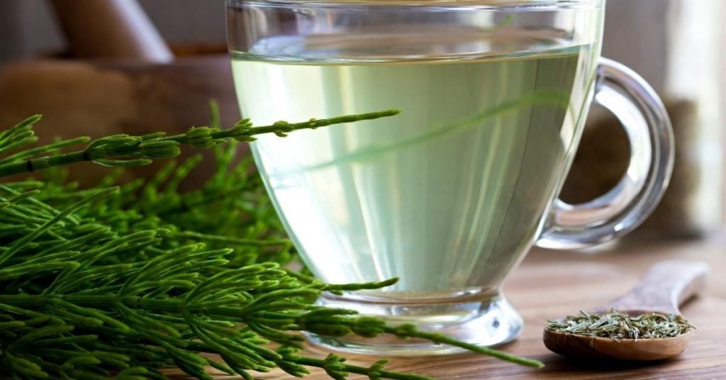 Horsetail Tea Benefits