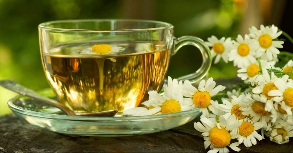 Chamomile Herbal Teas for Relieving Headaches