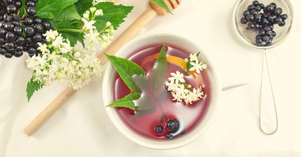 Elderberry Infusion Effective Teas and Infusions for Cleansing Your Body