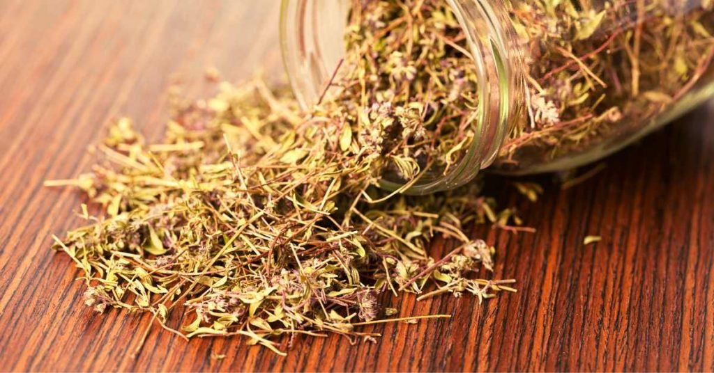 Thyme Infusion for Pregnant Women and How to Use Them