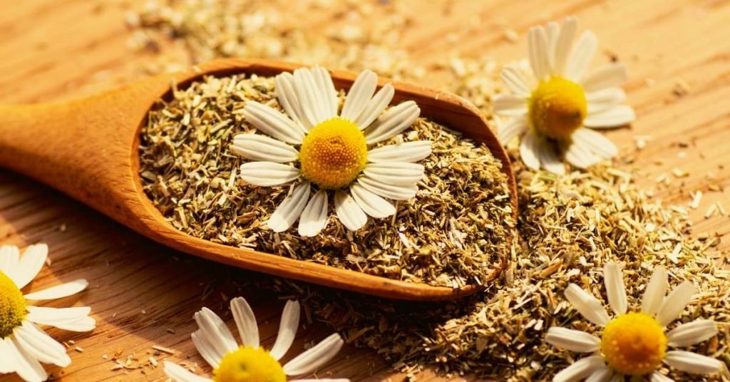 Chamomile for Digestion