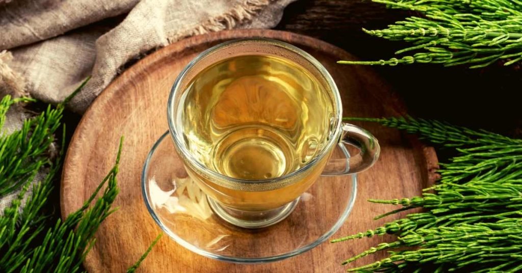 Horsetail Tea for Reducing Cellulite