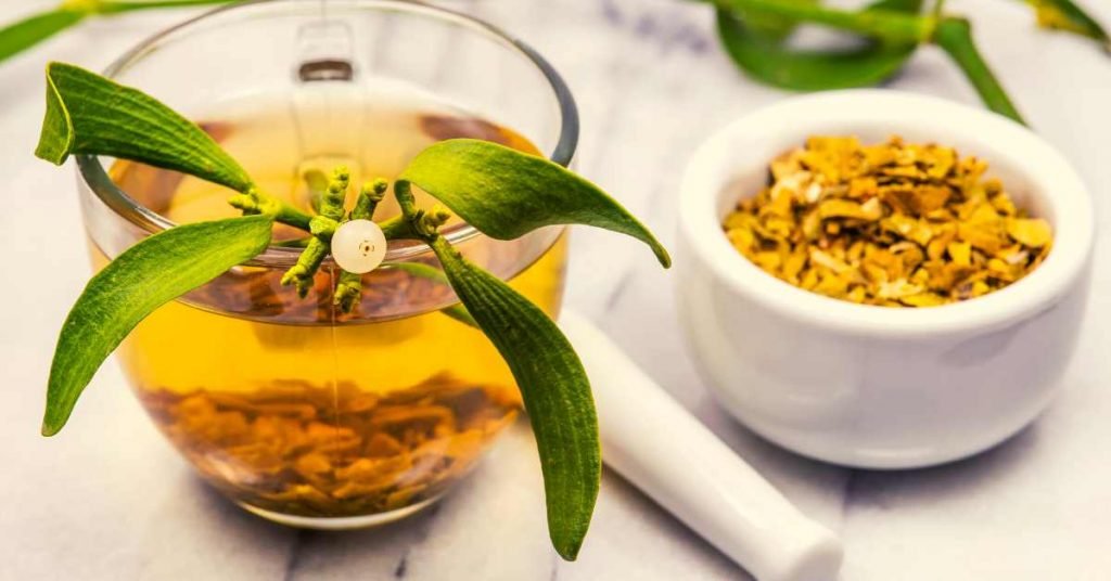 Mistletoe Infusion Tea for Lowering Blood Pressure