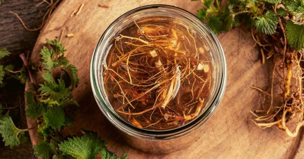 Nettle Root Tea for Lowering Blood Sugar