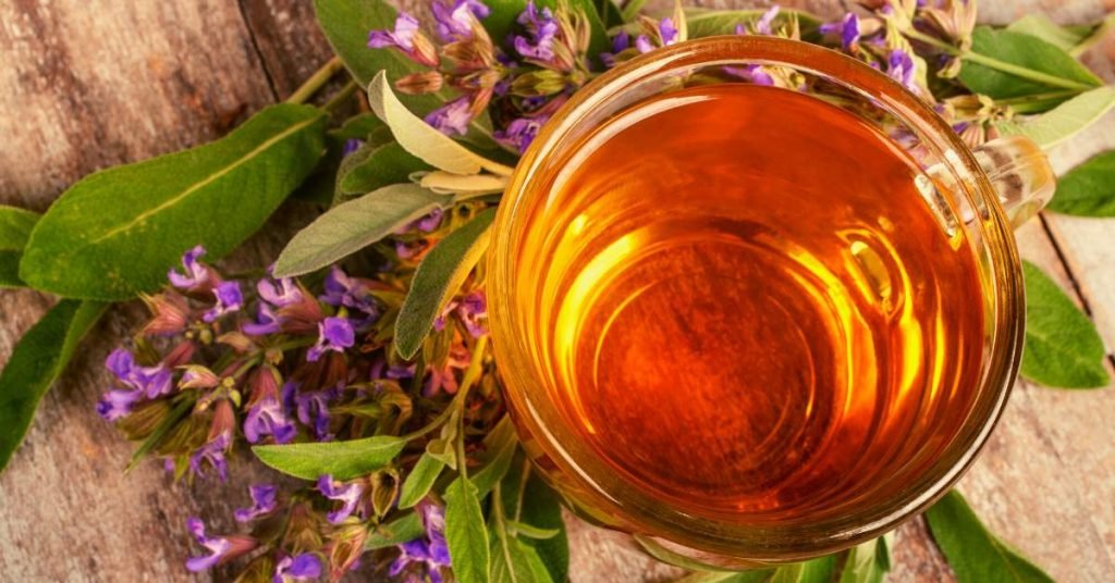 Sage Infusion Tea for Anemia