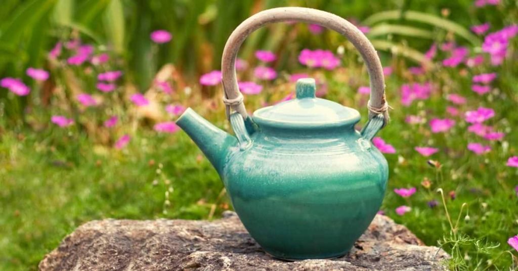 Master the Art of Cleaning Your Teapot