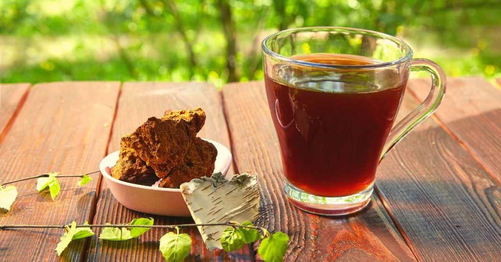 Exploring the Remarkable Properties of Chaga Mushroom Tea