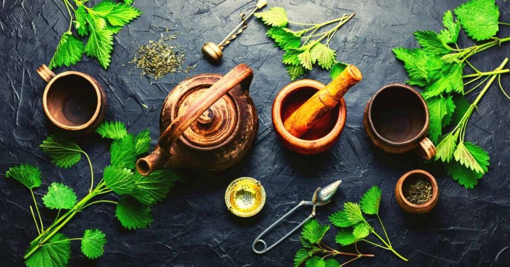 Understanding Tea Origins and Types