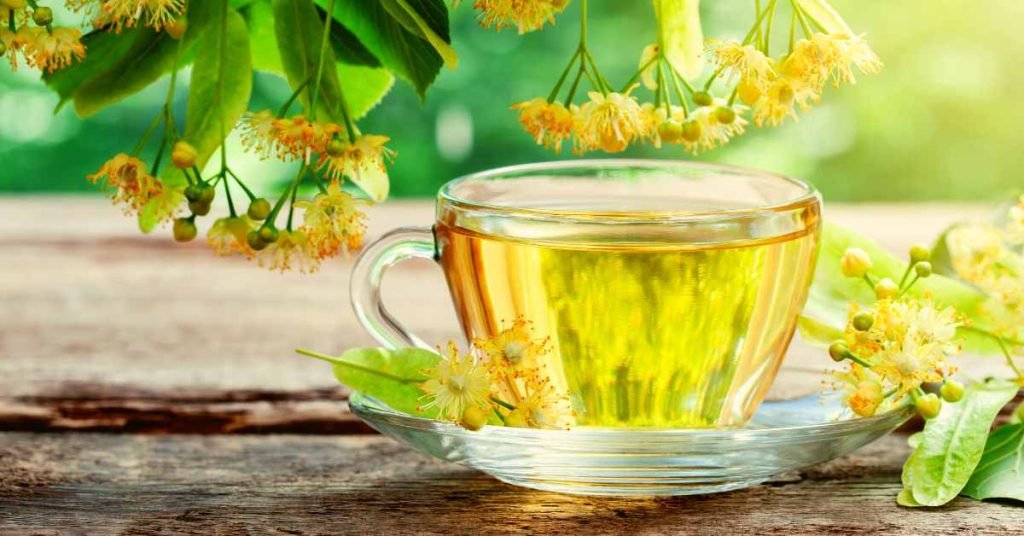 The Therapeutic Potential of Tea