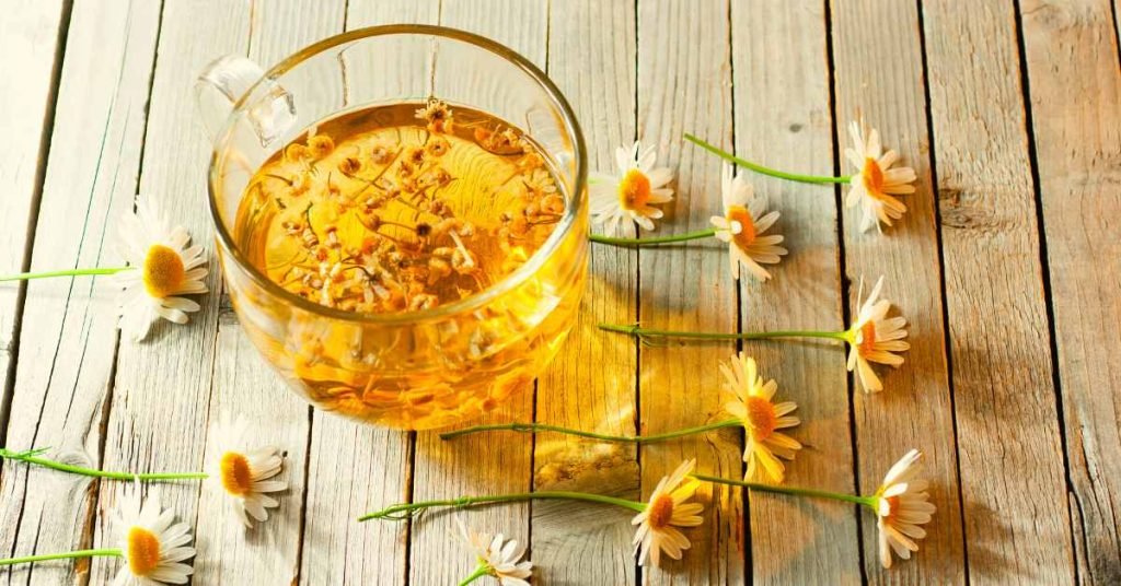 Drinking Chamomile Tea for Weight loss